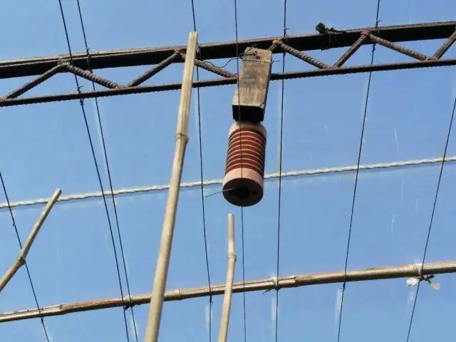 給蔬菜“通通電”增產省藥還防病