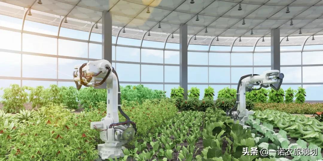 湖北方舟農(nóng)業(yè)科技官網(wǎng)上線了