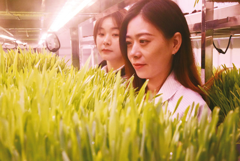 智能方艙植物工廠 研發成功