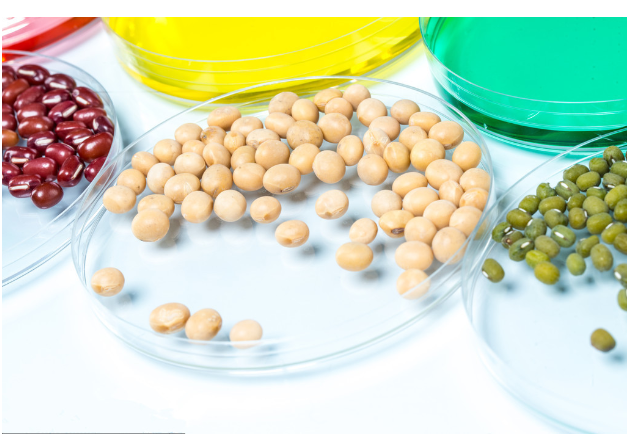 育種資源材料定制服務