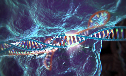 植物基因編輯服務