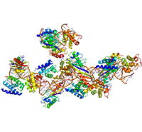 蛋白質組全譜鑒定